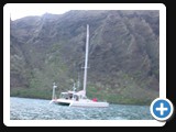 Shearwater off Nuku HIva